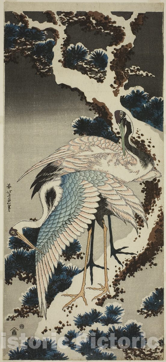 Art Print : Cranes on snow-covered pine, Katsushika Hokusai, c 1829, Vintage Wall Decor :