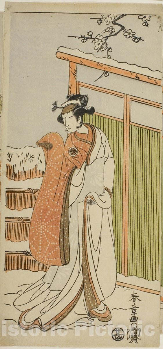 Art Print : Cotton Wadding of Izu Protecting the Matrimonial Chrysanthemums , Katsukawa Shunsho, c 1765, Vintage Wall Decor :