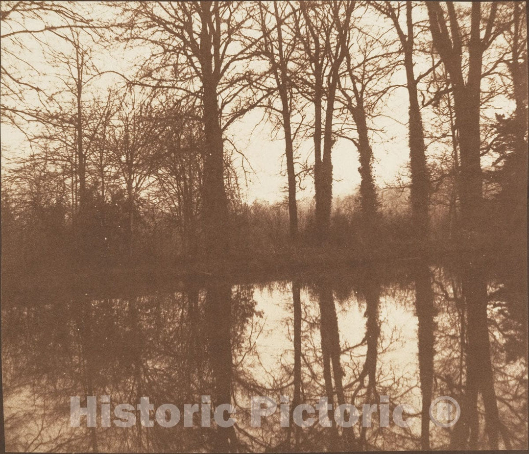 Photo Print : William Henry Fox Talbot - Winter Trees, Reflected in a Pond : Vintage Wall Art