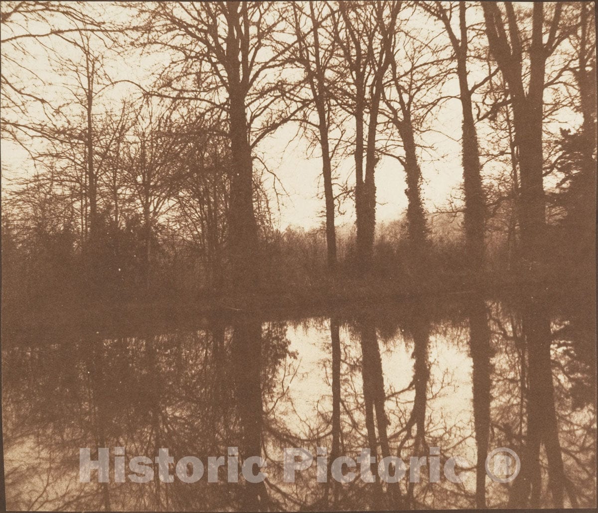 Photo Print : William Henry Fox Talbot - Winter Trees, Reflected in a Pond : Vintage Wall Art
