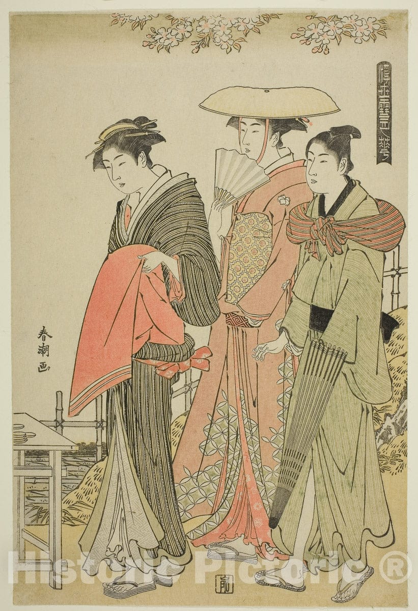Art Print : Flowers, from the series "Snow, Moon, and Flowers of the Floating World (Ukiyo setsugekka)", Katsukawa ShunchÃ´, c 1785, Vintage Wall Decor :