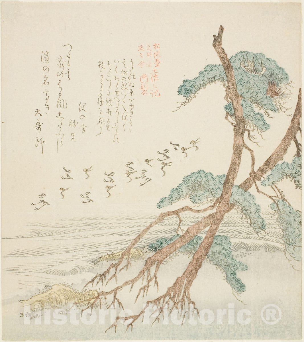 Art Print : Pine Trees, from Tosa Diary for the Shofudai, Hisakataya, and Bunbunsha , Kubo Shunman, c 1800, Vintage Wall Decor :