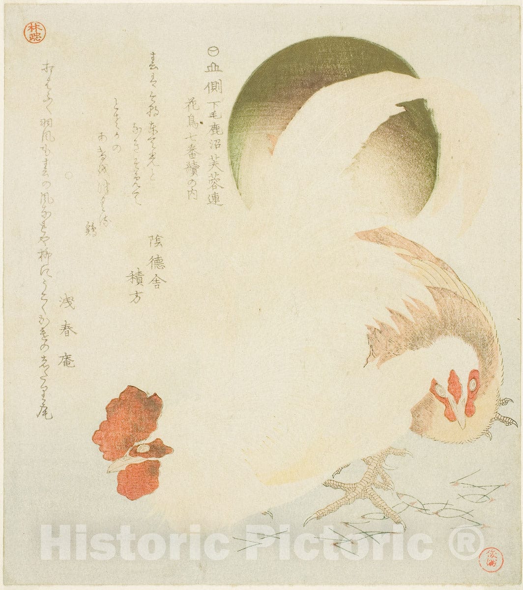 Art Print : Seven Bird-and-flower Prints for the Fuyo Circle of Kanuma in Shimotsuke Province, Kubo Shunman, c 1805, Vintage Wall Decor :