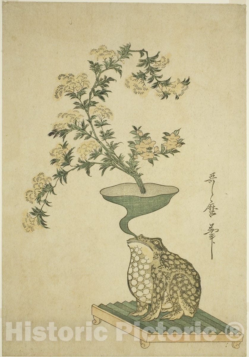 Art Print : An Arrangement of Valerian (Ominaeshi) and Chinese Bell Flowers (Kikyo), Kitagawa Utamaro, c 1796, Vintage Wall Decor :