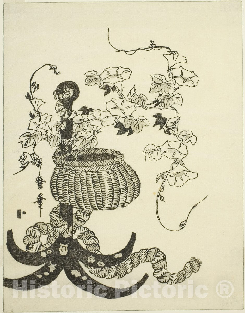 Art Print : An Arrangement of Morning Glories (Asagao), Kitagawa Utamaro, c 1796, Vintage Wall Decor :
