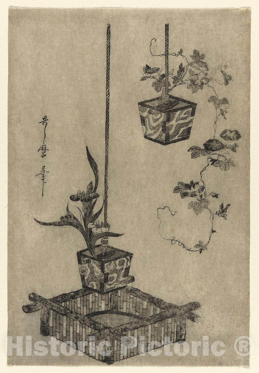 Art Print : Arrangements of Irises and Morning Glories, Kitagawa Utamaro, c 1780, Vintage Wall Decor :