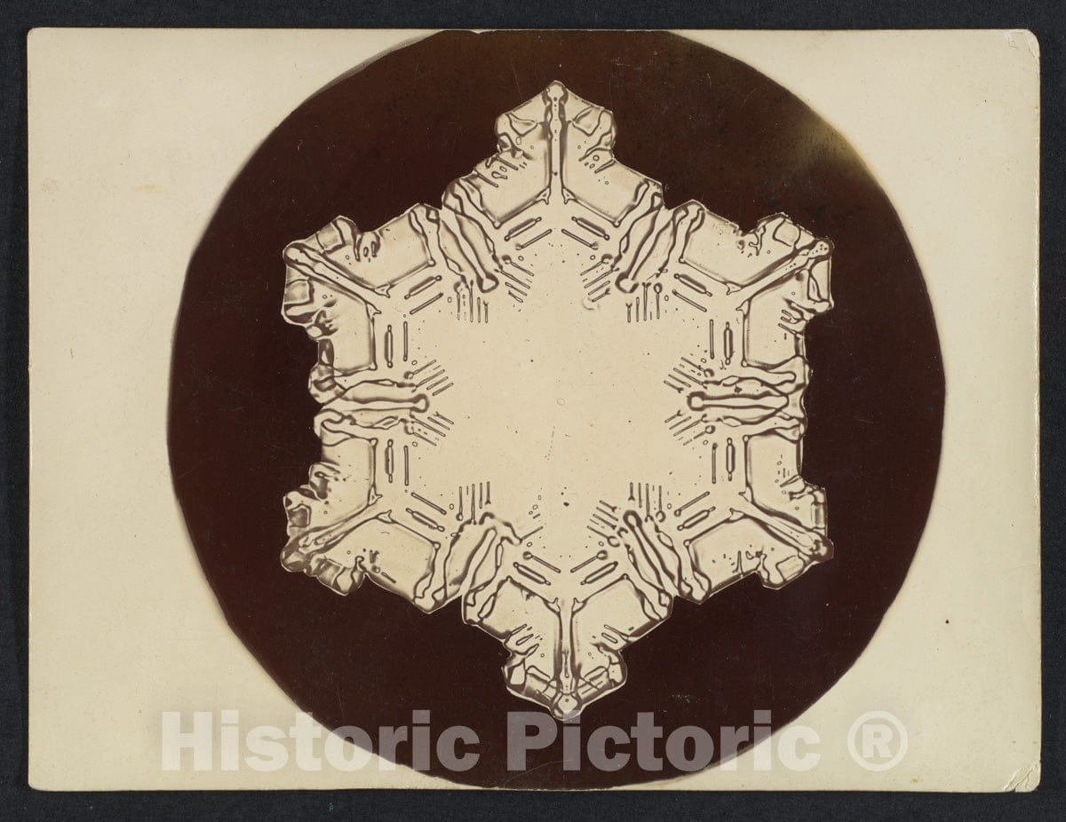 Photo Print : Wilson Alwyn Bentley - Snow Crystal 13 : Vintage Wall Art