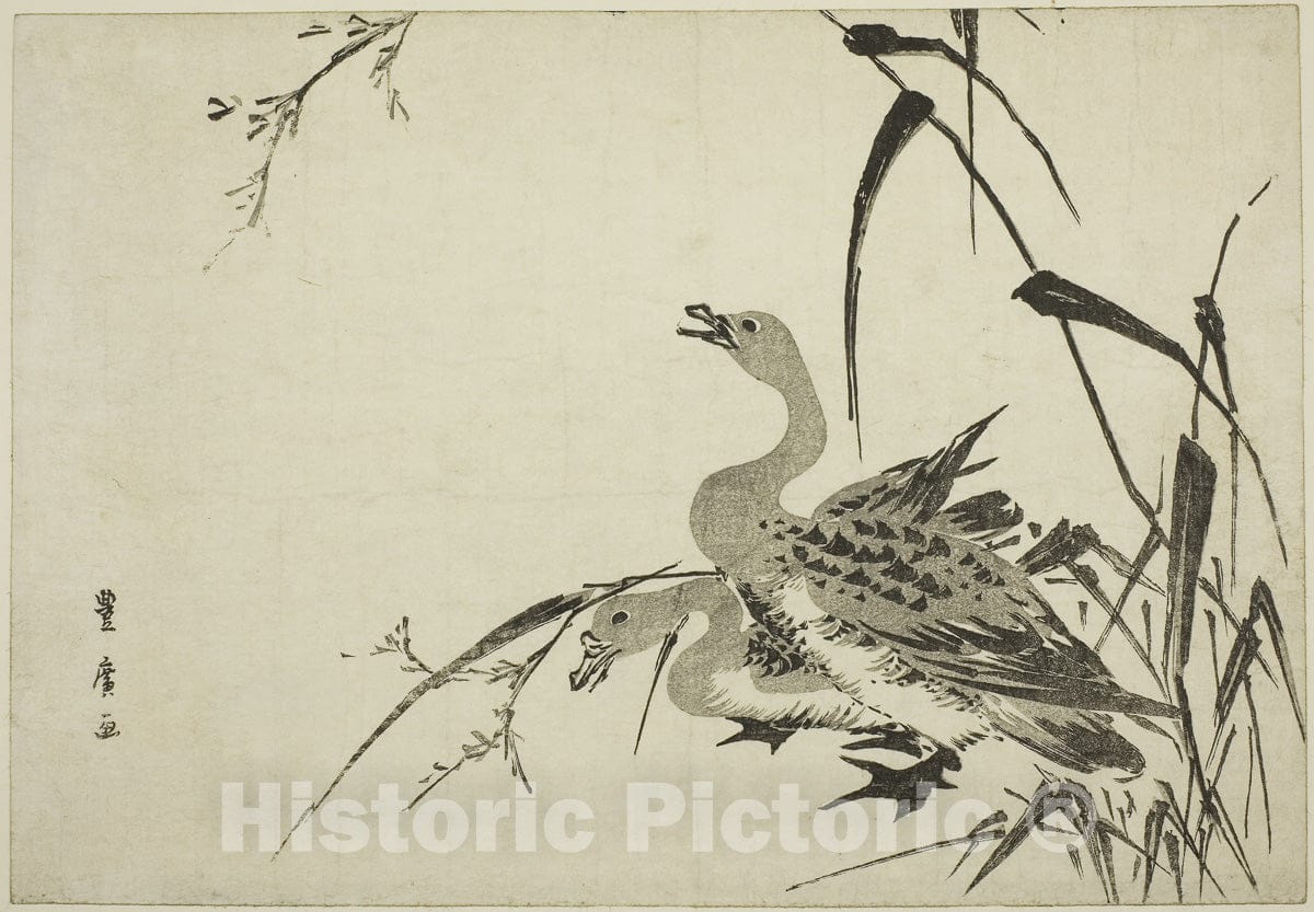 Art Print : Wild Geese and Reeds, Utagawa Toyohiro, c 1805, Vintage Wall Decor :