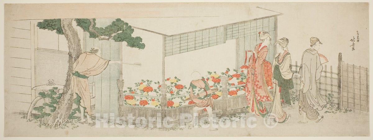 Dragable Image