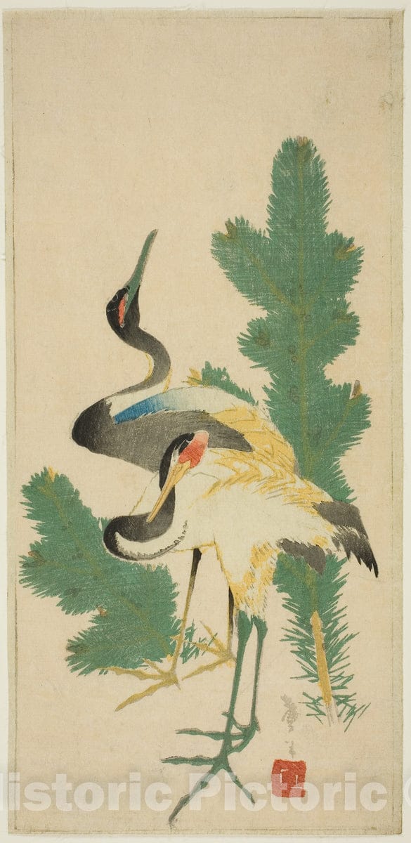 Art Print : Pine and cranes, Katsushika Taito II, c 1835, Vintage Wall Decor :