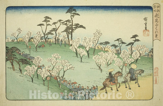Art Print : Viewing Cherry Blossoms at Asuka Hill (Asukayama hanami), from the series "Famous Places in Edo (Koto meisho)", Utagawa Hiroshige, c 1833, Vintage Wall Decor :