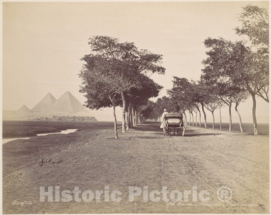 Photo Print : Félix Bonfils - Caire. Allée de Pyramides : Vintage Wall Art