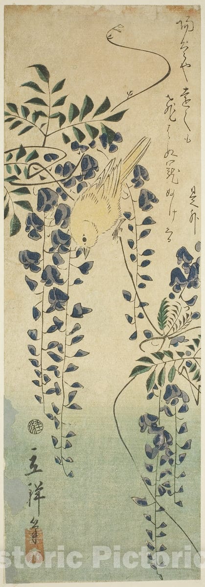 Art Print : Canary and wisteria, Utagawa Hiroshige II (Shigenobu), c 1865, Vintage Wall Decor :