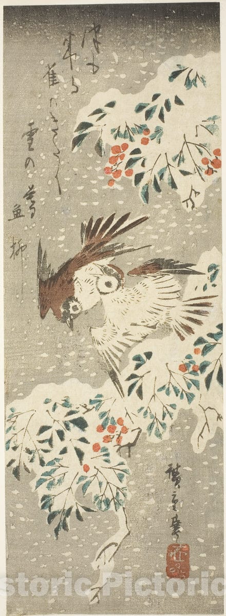 Art Print : Sparrows Flitting about Snow-covered Nandina as More Snow Falls, Utagawa Hiroshige, c 1835, Vintage Wall Decor :