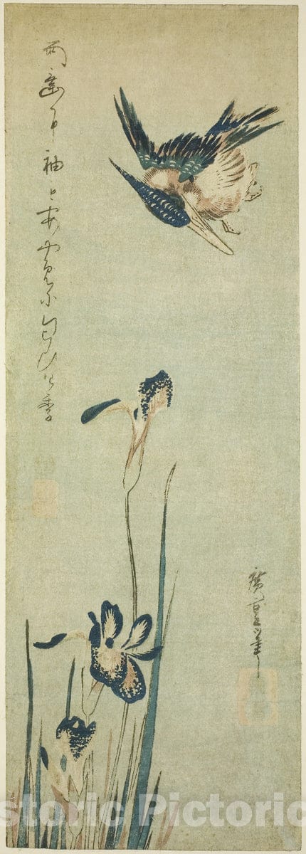 Art Print : Kingfisher and iris, Utagawa Hiroshige, c 1830, Vintage Wall Decor :