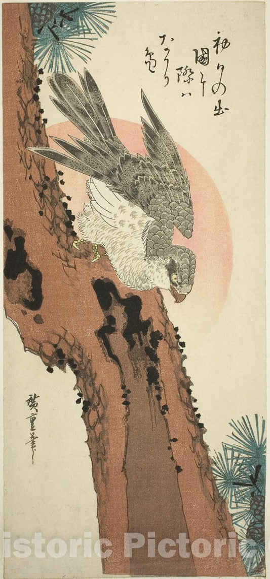 Art Print : Falcon on a Pine Tree with the Rising Sun, Utagawa Hiroshige, c 1830, Vintage Wall Decor :