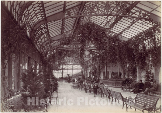 Photo Print : Francis Bedford - Ilfracombe, The Victorian Promenade : Vintage Wall Art