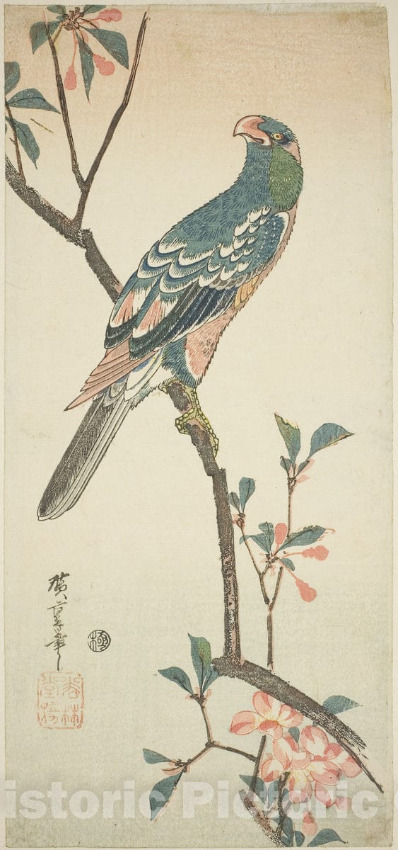 Art Print : Parrot on a blossoming branch, Utagawa Hiroshige, c 1830, Vintage Wall Decor :