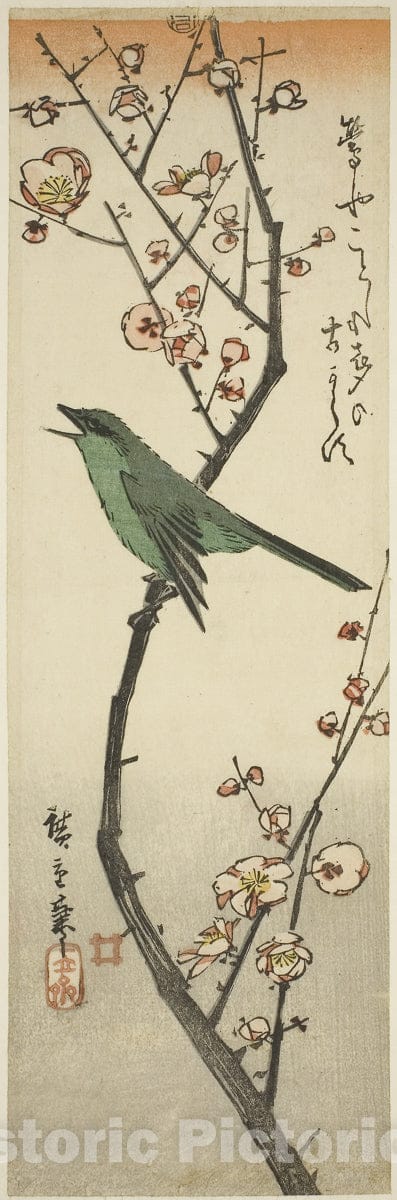 Art Print : Bush warbler and plum, Utagawa Hiroshige, c 1840, Vintage Wall Decor :