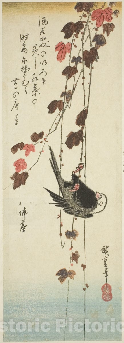 Art Print : White-headed bird and ivy, Utagawa Hiroshige, c 1835, Vintage Wall Decor :
