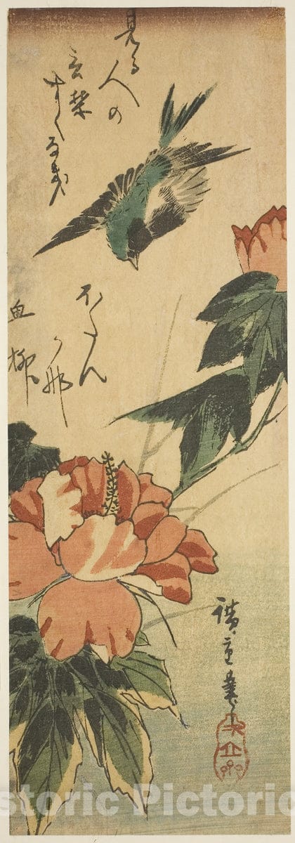 Art Print : Swallow and hibiscus, Utagawa Hiroshige, c 1830, Vintage Wall Decor :