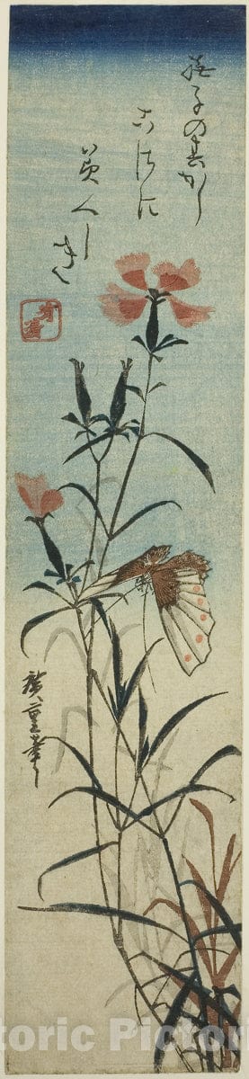 Art Print : Butterfly and pinks, Utagawa Hiroshige, c 1842, Vintage Wall Decor :