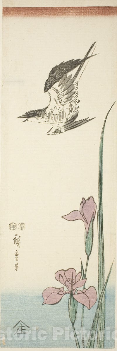 Art Print : Cuckoo and iris, Utagawa Hiroshige, c 1850, Vintage Wall Decor :