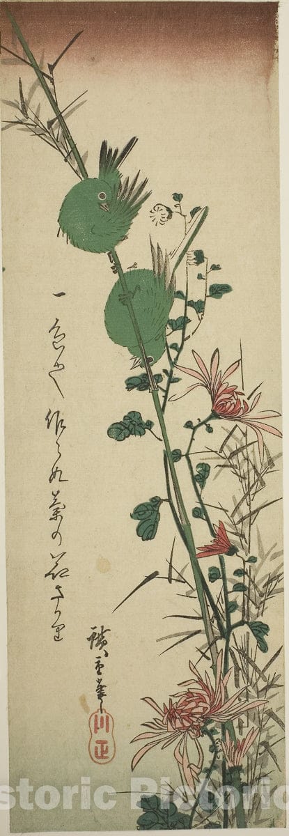 Art Print : Japanese White-eyes and Chrysanthemums, Utagawa Hiroshige, c 1837, Vintage Wall Decor :