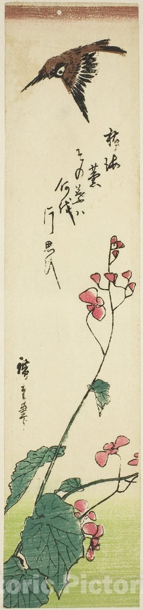 Art Print : Sparrow flying over begonias, Utagawa Hiroshige, c 1845, Vintage Wall Decor :