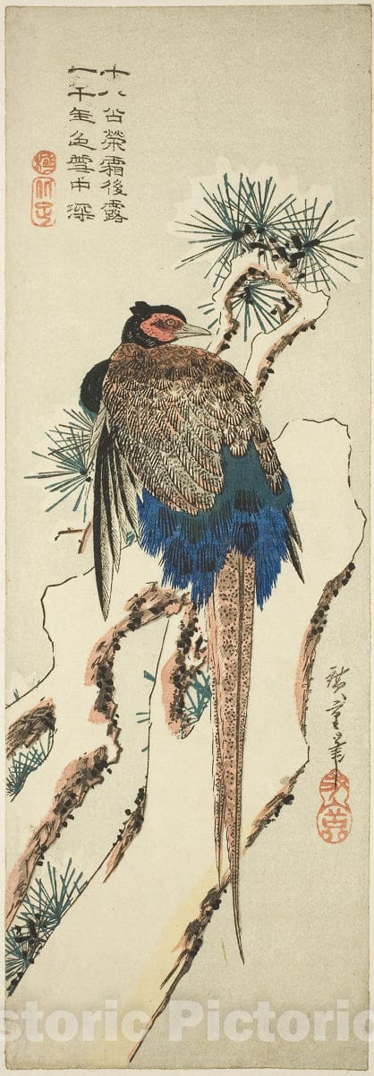 Art Print : Pheasant on a Snow-Covered Pine Tree, Utagawa Hiroshige, c 1835, Vintage Wall Decor :