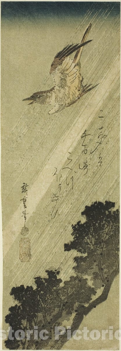 Art Print : Cuckoo flying in rain, Utagawa Hiroshige, c 1831, Vintage Wall Decor :