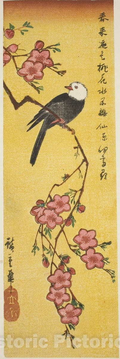 Art Print : White-headed bird on peach branch, Utagawa Hiroshige, c 1835, Vintage Wall Decor :