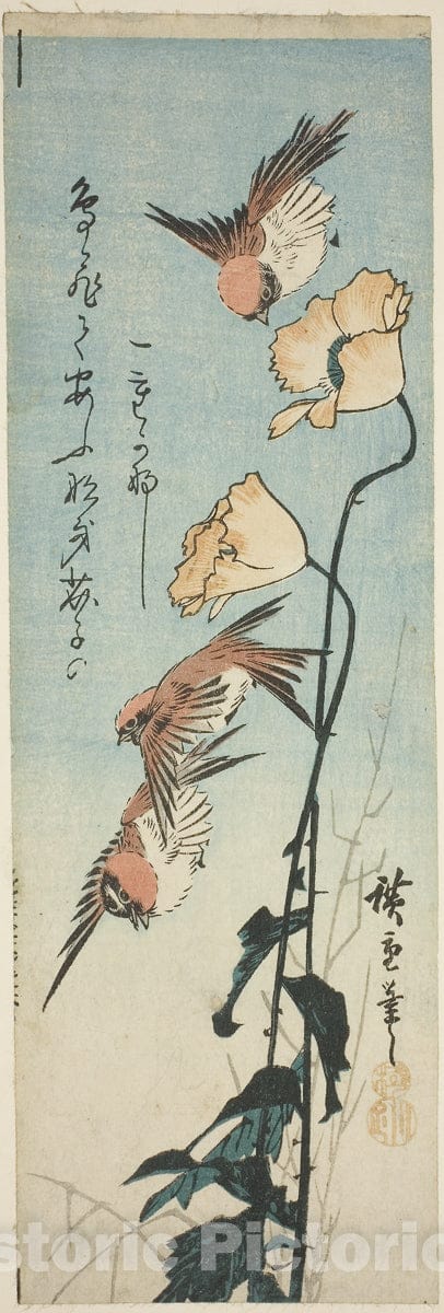 Art Print : Sparrows and poppies, Utagawa Hiroshige, c 1850, Vintage Wall Decor :