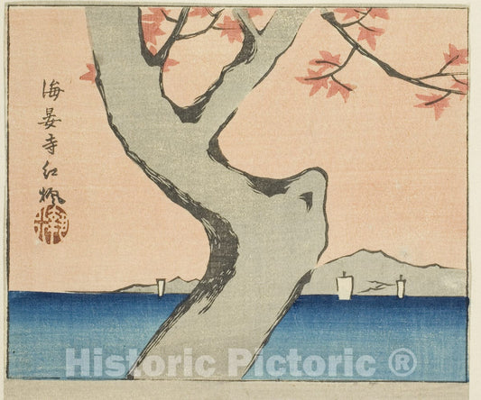 Art Print : Maple Leaves at Kaian Temple (Kaianji benikaede), section of a sheet , Utagawa Hiroshige, c 1857, Vintage Wall Decor :