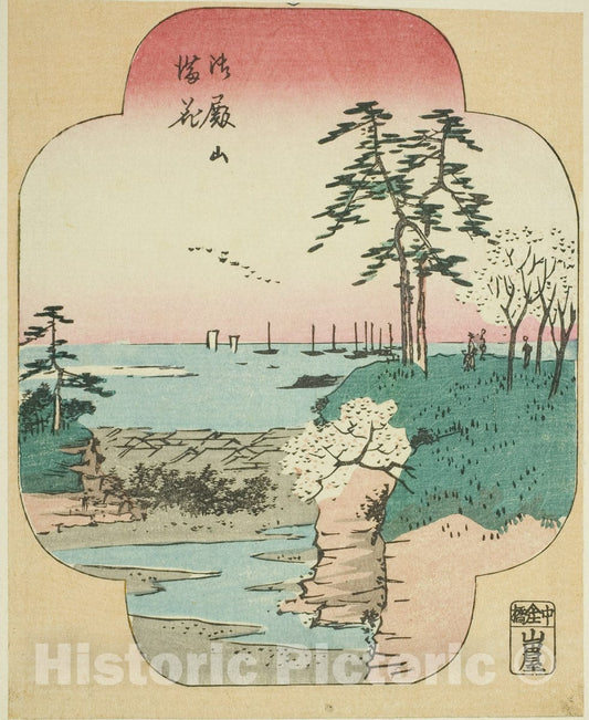 Art Print : Cherry Blossoms in Full Bloom at Goten Hill (Gotenyama manka), section of a sheet , Utagawa Hiroshige, c 1856, Vintage Wall Decor :