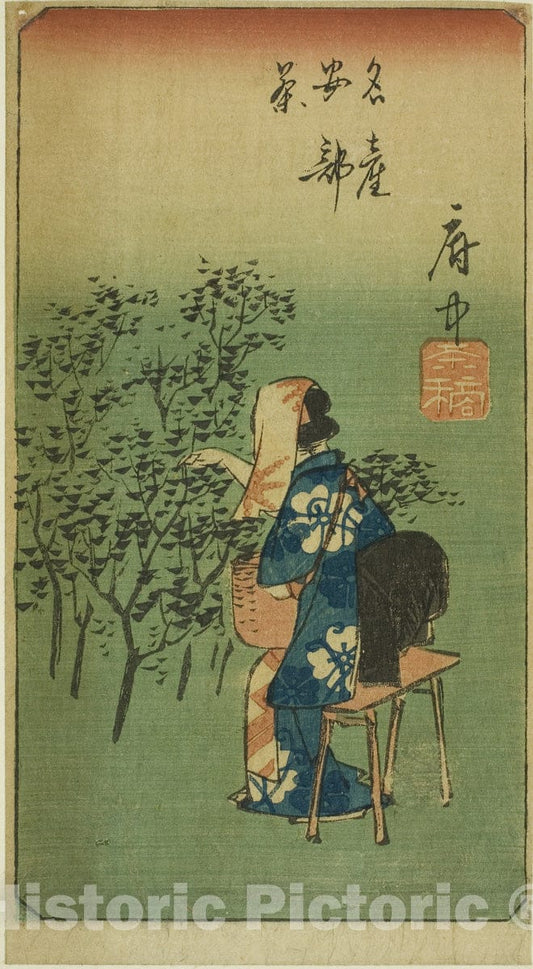 Art Print : Fuchu, section of sheet no. five from the series "Cutouts of the Fifty-three Stations (Gojusan tsugi harimaze)", Utagawa Hiroshige, c 18five1, Vintage Wall Decor :