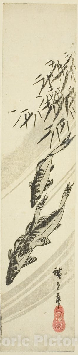 Art Print : Fish in a stream, Utagawa Hiroshige, c 1840, Vintage Wall Decor :