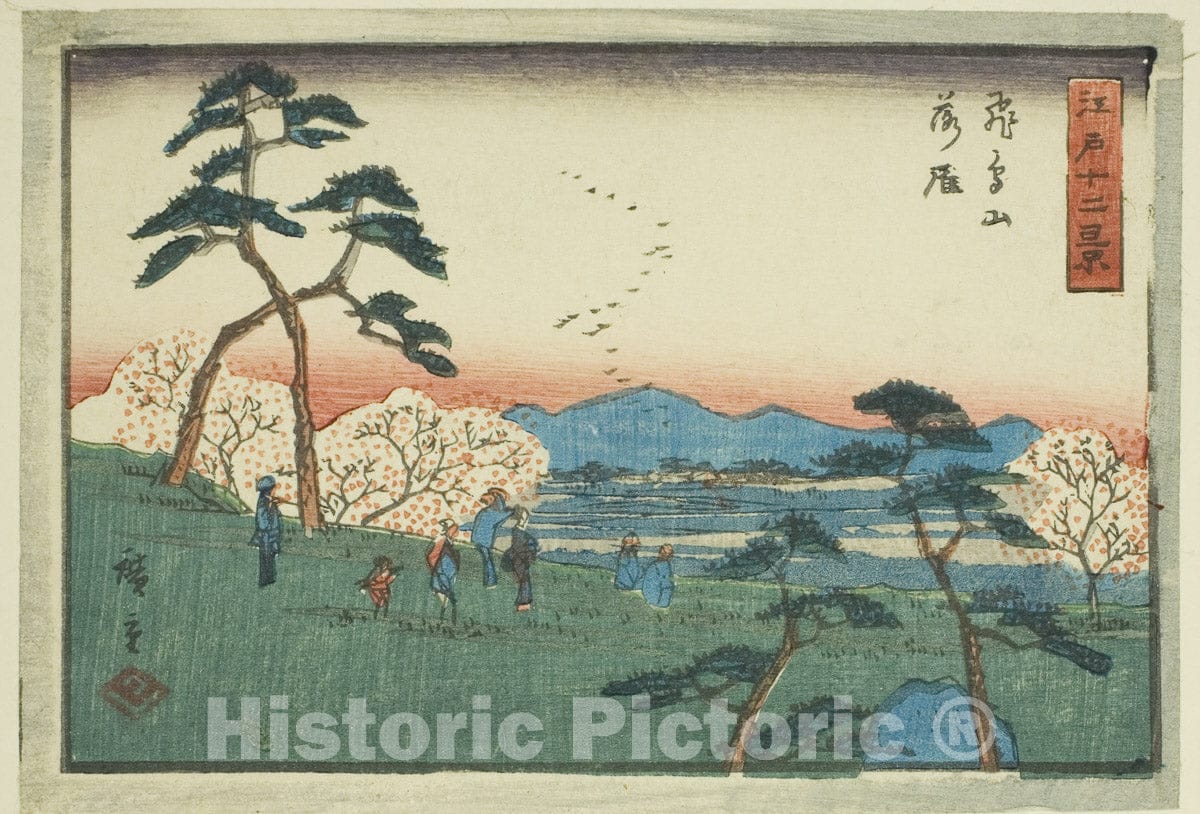 Art Print : Descending Geese at Asuka Hill (Asukayama rakugan), from the series "Twelve Views of Edo (Edo juni kei)", Utagawa Hiroshige, c 1849, Vintage Wall Decor :