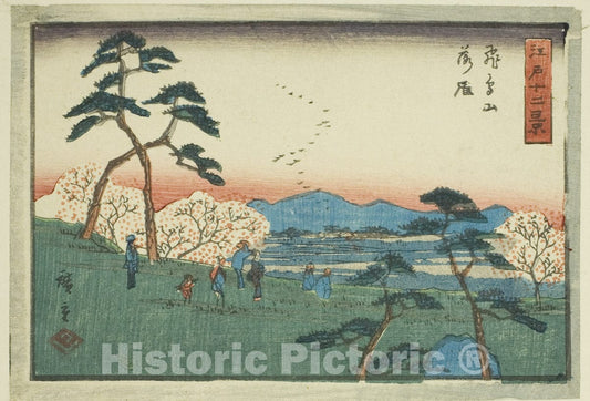 Art Print : Descending Geese at Asuka Hill (Asukayama rakugan), from the series "Twelve Views of Edo (Edo juni kei)", Utagawa Hiroshige, c 1849, Vintage Wall Decor :