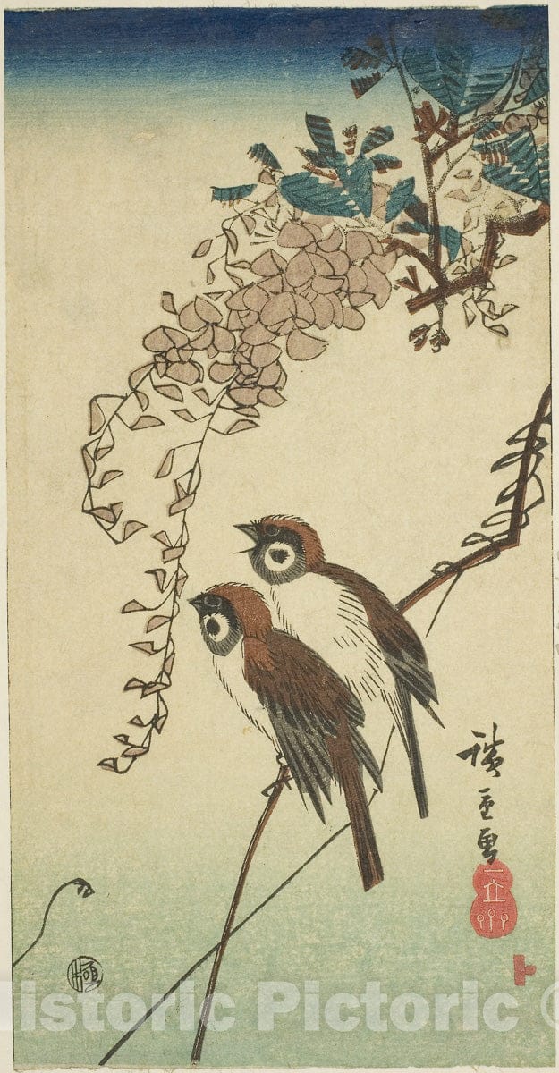 Art Print : Sparrows and wisteria, Utagawa Hiroshige, c 1852, Vintage Wall Decor :