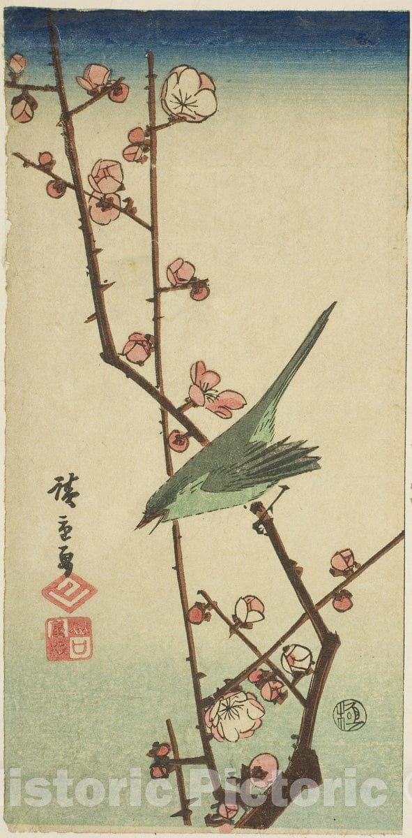 Art Print : Warbler on plum branch, Utagawa Hiroshige, c 1851, Vintage Wall Decor :