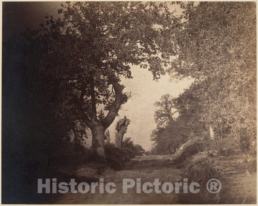Photo Print : Gustave Le Gray - Fontainebleau, chemin sablonneux Montant : Vintage Wall Art