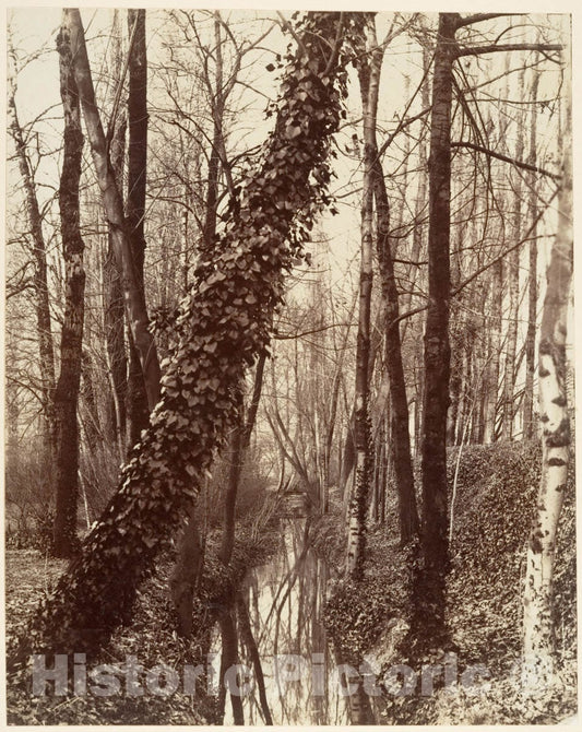 Photo Print : Eugène Atget - La Bièvre, Boulevard d'Italie 13ème disparue en 1891; aujourd'hui rue Edmond Gondinet : Vintage Wall Art