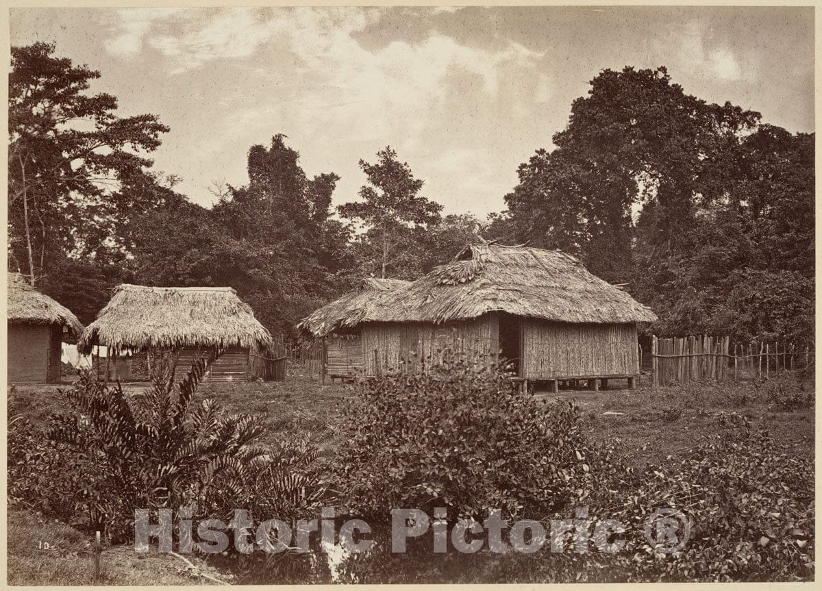 Photo Print : John Moran - Tropical Scenery, Turbo Village : Vintage Wall Art