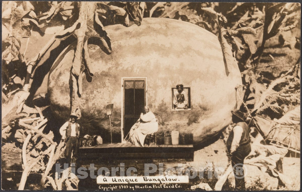 Art Print : William H. Martin - A Unique Bungalow : Vintage Wall Art