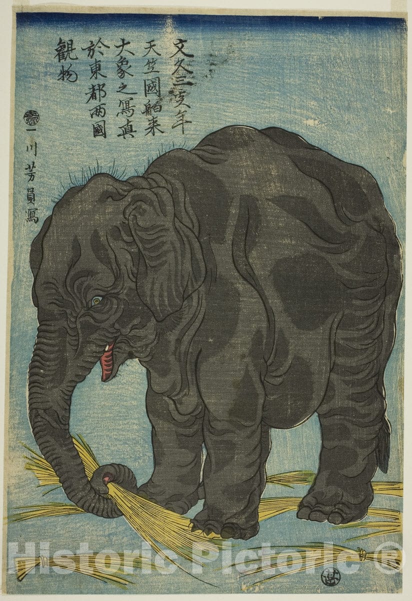 Art Print : Picture of Large Elephant , Utagawa Yoshikazu, c 1828, Vintage Wall Decor :