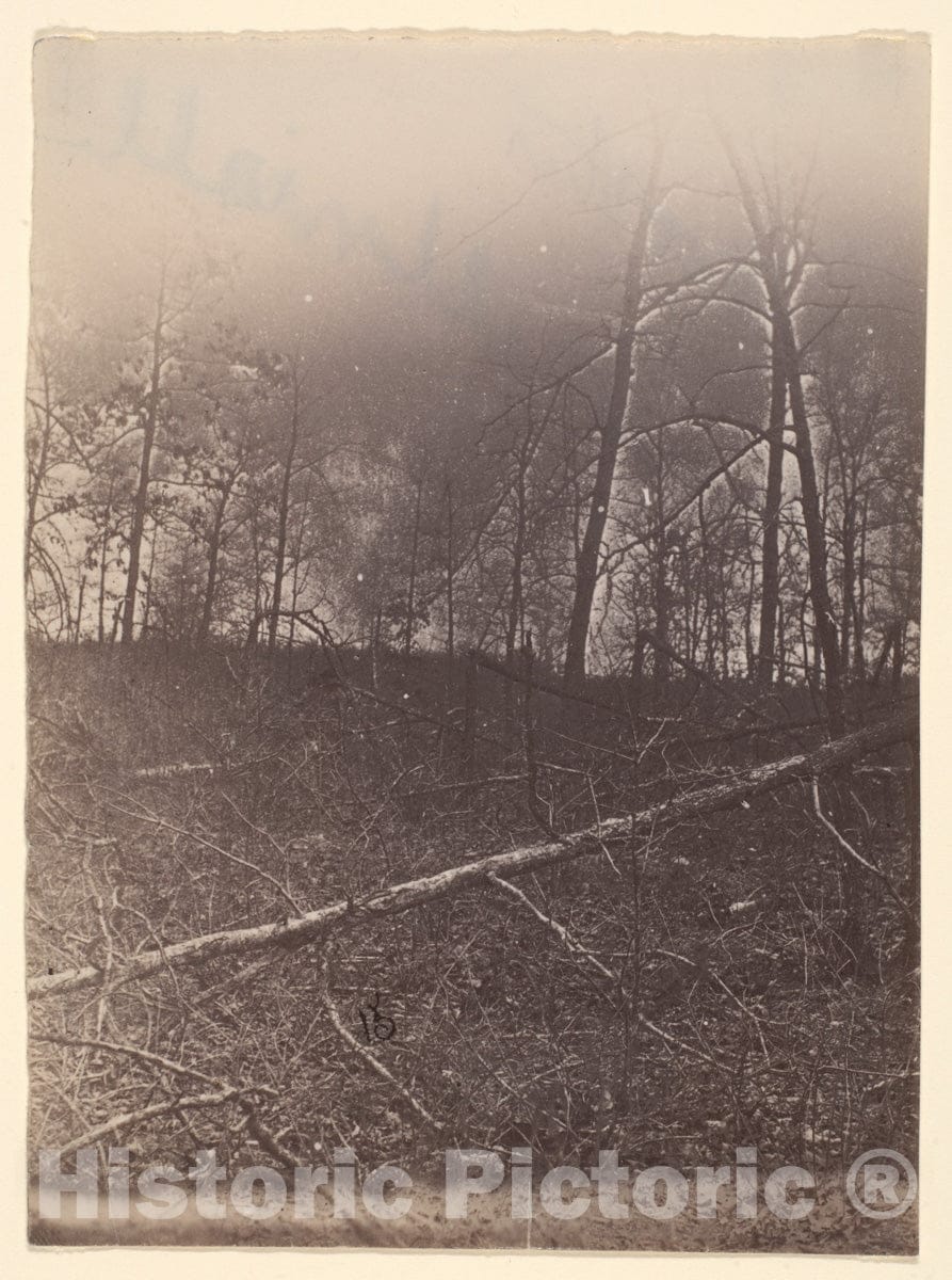 Photo Print : The Wilderness Battlefield - 406574 : Vintage Wall Art