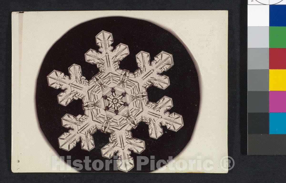 Photo Print : Wilson Alwyn Bentley - Snow Crystal 25 : Vintage Wall Art