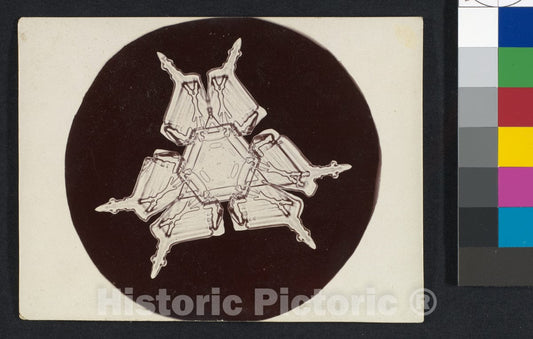 Photo Print : Wilson Alwyn Bentley - Snow Crystal - 406580 : Vintage Wall Art