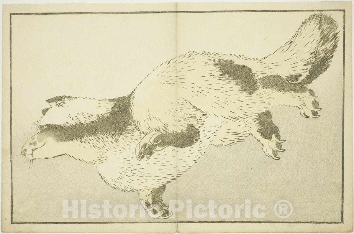 Art Print : Fox, from The Picture Book of Realistic Paintings of Hokusai (Hokusai shashin gafu), Katsushika Hokusai, c 1824, Vintage Wall Decor :